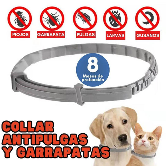 😲COLLAR ANTI PULGAS Y GARRAPATAS🐶