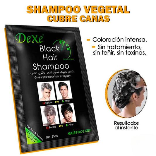 😍SHAMPOO VEGETAL CUBRE CANAS | BLACK HAIR SHAMPOO✨