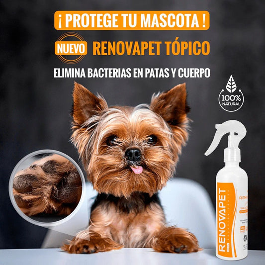 RENOVAPET SOLUCION TOPICA